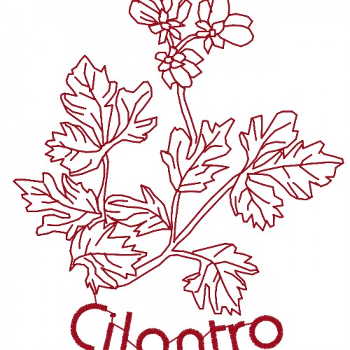 Redwork Herbs [4x4 & 5x7] 10991 Machine Embroidery Designs